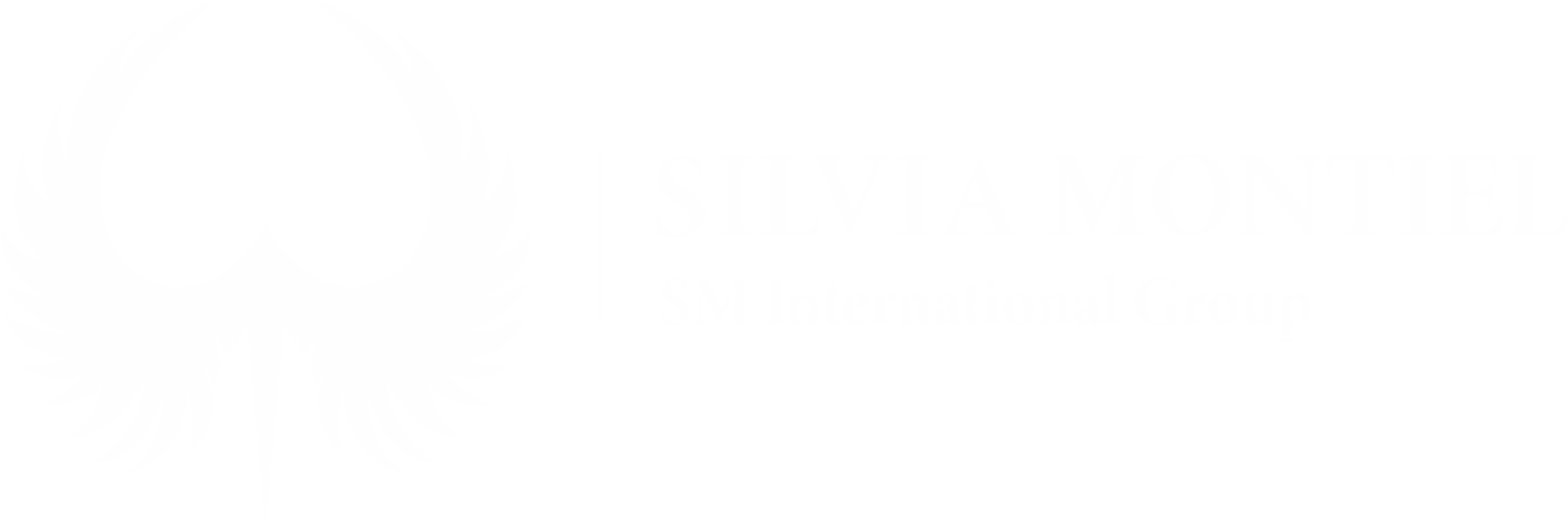 SM INTERNATIONAL GROUP SAS